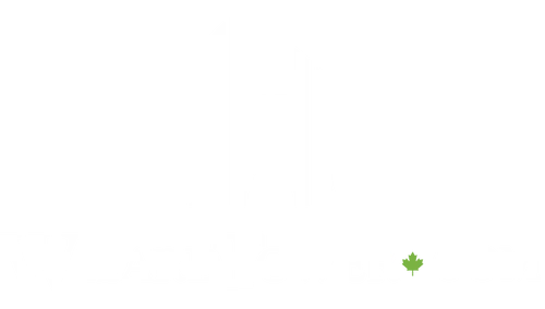 Wizard's Tower